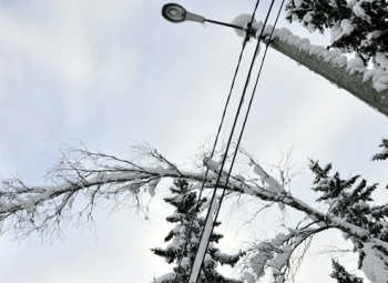 Vierimetsät ojennukseen
