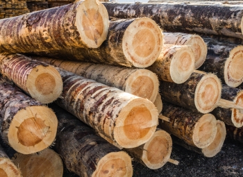 Puun energiakäyttö kasvoi