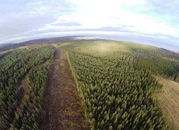 Fortum Fennovoimaan 6,6 prosentilla