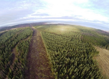 Fortum Fennovoimaan 6,6 prosentilla