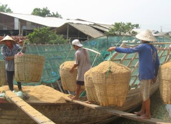 Biomassojen käyttöä tehostetaan Vietnamissa