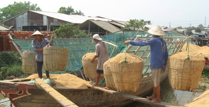 Biomassojen käyttöä tehostetaan Vietnamissa