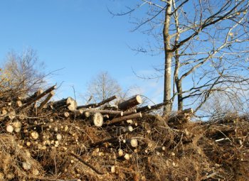 Muutokset vähäisiä Suomessa