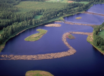 Lohien vaeltamiselle uusia haasteita