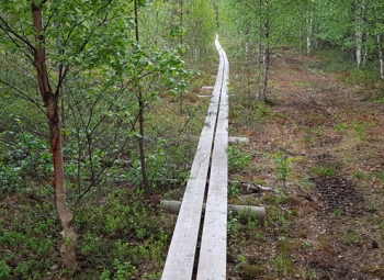 Suoalueita myytävänä